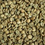 zipwp image 4815899 (1)